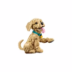 Immagine di Costruzioni LEGO CUCCIOLO DI GOLDEN RETRIEVER 11384A