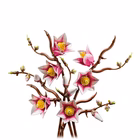 Immagine di Costruzioni LEGO RAMETTI DI MAGNOLIA 11510