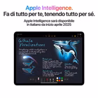 Immagine di IPad air 13 WiFi 1TB stl