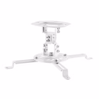 Immagine di Prometheus 150 bianca