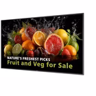 Immagine di 65 monitor uhd 24/7 600 nits