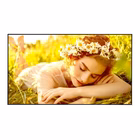 Immagine di 86ul5q-e