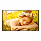 Immagine di 43ul5q-e