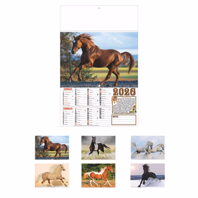 Immagine di Calendario da muro bimensile cm 32x49,5 Cavalli 100+