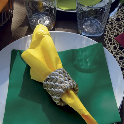 Immagine di Tovagliolo Airlaid in carta a secco MCR 40x40 Dry colore verde scuro 50 pezzi