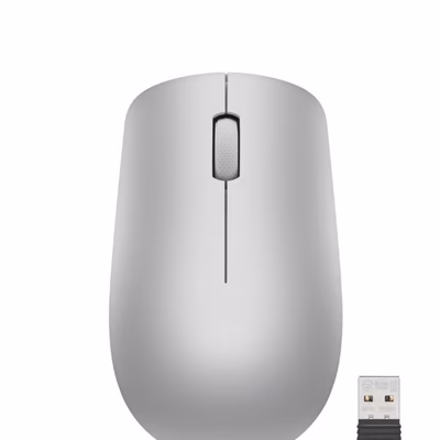 Immagine di LENOVO Mouse wireless 530 grigio platino GY50Z18984