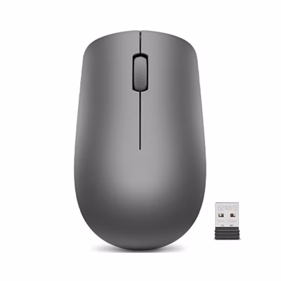 Immagine di LENOVO Lenovo 530 Wireless Mouse Graphite GY50Z49089