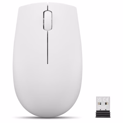 Immagine di LENOVO Lenovo 300 Wireless Compact Mouse Cloud Grey con GY51L15677