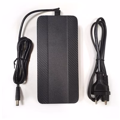 Immagine di Caricabatteria schuko ebike x9