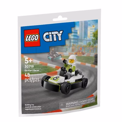 Immagine di Costruzioni LEGO Pilota di Go-Kart 30719