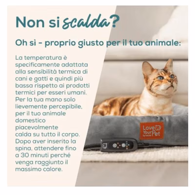 Immagine di Cuccia pp250 kira