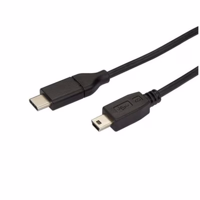 Immagine di Cavo USB-C a mini-usb da 2m