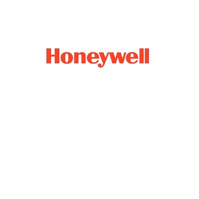 Immagine di Accessori Stampanti Termiche Barcode, Ricevute, Card HONEYWELL G2 SPRING FLAT 6" FOR PINCH ROLLER 11