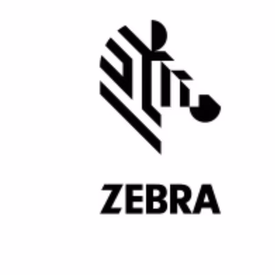 Immagine di Accessori Stampanti Termiche Barcode, Ricevute, Card ZEBRA KIT SHUTTER ASSY TTP 2000 104591