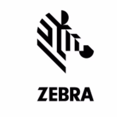 Immagine di Accessori Stampanti Termiche Barcode, Ricevute, Card ZEBRA KIT:PRINTHEAD 300 DPI RH&LH FOR ZE511 PR