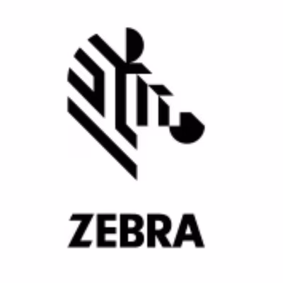 Immagine di Accessori Stampanti Termiche Barcode, Ricevute, Card ZEBRA KIT 203DPI PRINTHEAD P1105147-300