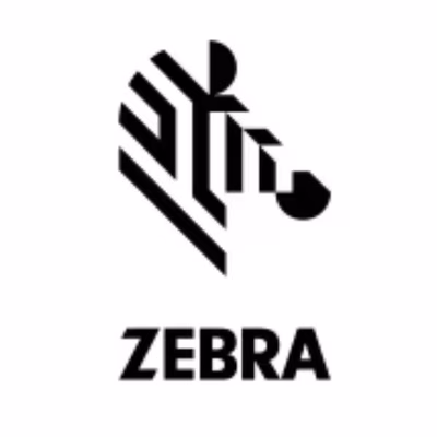 Immagine di Accessori Stampanti Termiche Barcode, Ricevute, Card ZEBRA Kit, Print Mechanism 203dpi, ZD620T P1080