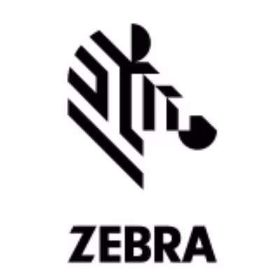 Immagine di Accessori Stampanti Termiche Barcode, Ricevute, Card ZEBRA Kit Print Mechanism ZE500-6 LH P1046696-1