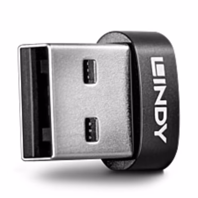 Immagine di Adattatore USB 2.0 tipo cf / am