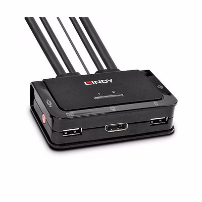 Immagine di 2 port displayport kvm switch