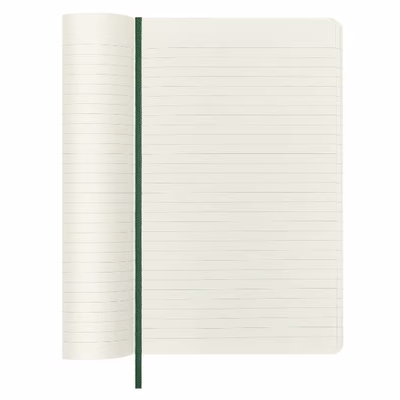 Immagine di Notebook lg rul myrtle green soft