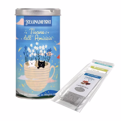 Immagine di Latta regalo tisane dell'Amicizia 12 filtri assortiti