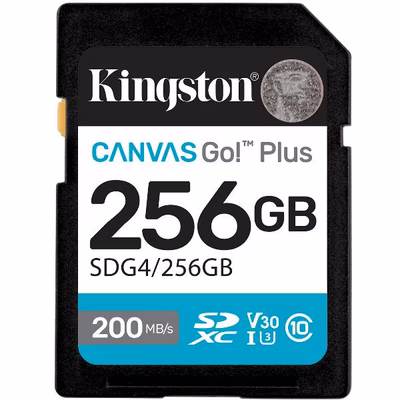Immagine di Memory Card secure digital xc 256GB KINGSTON Obsolete Kingston SD SDG4/256GB