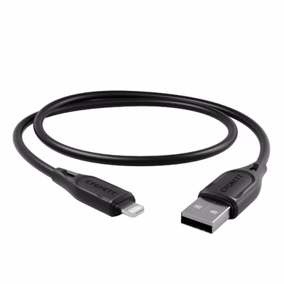 Immagine di Lightning to USB 1mt bk