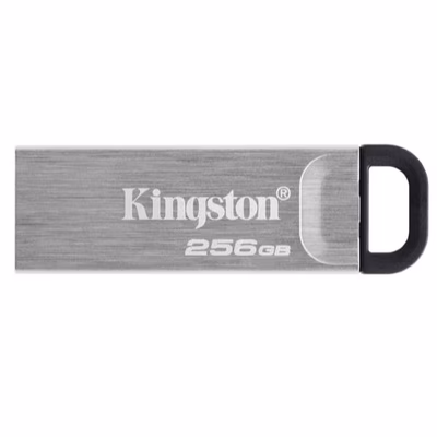 Immagine di Datatravel kyson 256GB