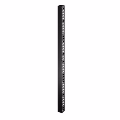 Immagine di Vertical cable manager 42u