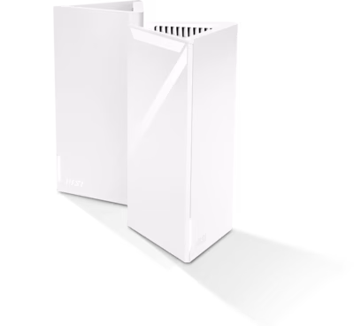 Immagine di Router MSI MRBE50-1PK