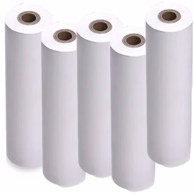 Immagine di Rotoli di carta Z-Perform 1000D per stampa termica 101mm.x30mt. 16pz
