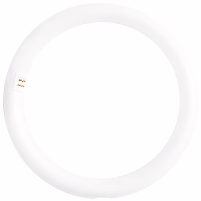 Immagine di Lampadina LED Circolina 30Cm 18W 6500K 2000 Lumen luce fredda