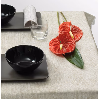 Immagine di Coprimacchia in TNT maspun ROIAL YUTA SPUN 100x100 colore caffè 100 pezzi