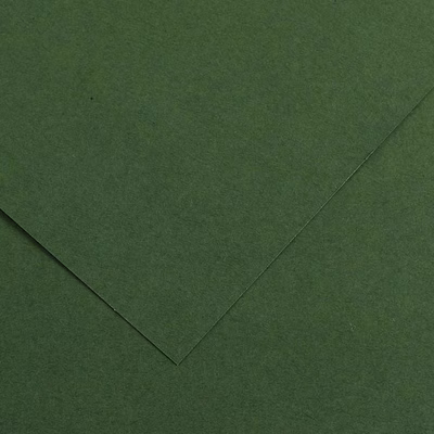 Immagine di Cartoncino canson colorline cm 50x70 g220 verde abete risma da 25 fogli