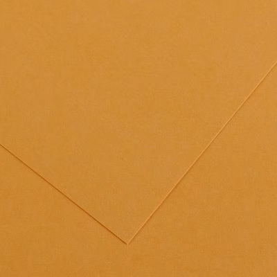 Immagine di Cartoncino canson colorline cm 50x70 g220 cuoio risma da 25 fogli