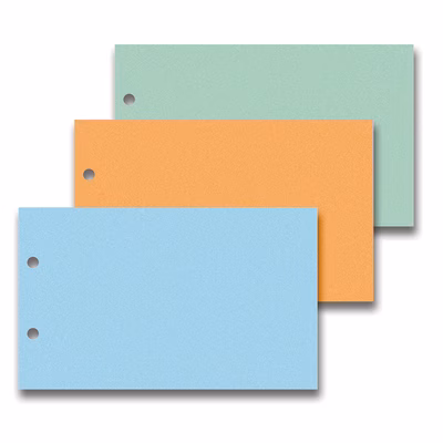 Immagine di Separatore manilla 2 fori g260 cm 10,5x24 ass.