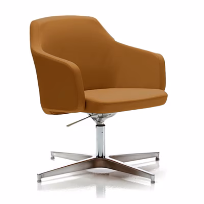 Immagine di Poltrona EDGAR bassa 4g con piedini colore nocciola