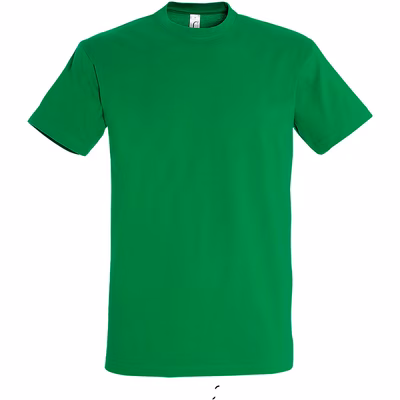 Immagine di T-Shirt manica corta SOL'S IMPERIAL colore verde taglia M