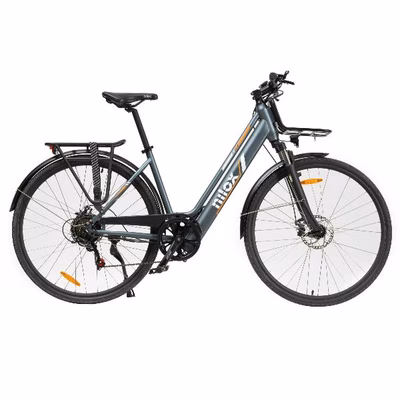 Immagine di Ebike 36v 10ah 28x1.75p cargo light