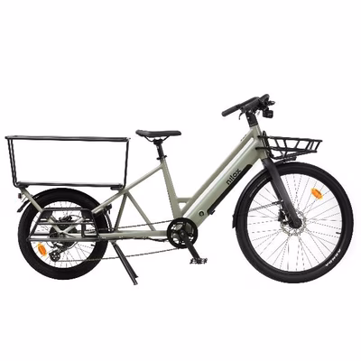 Immagine di Ebike 36v 10ah cargo c3 - green