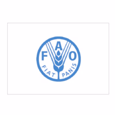 Immagine di Bandiera FAO cm 150x100 poliestere nautico