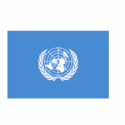 Immagine di Bandiera ONU cm 150x100 poliestere nautico