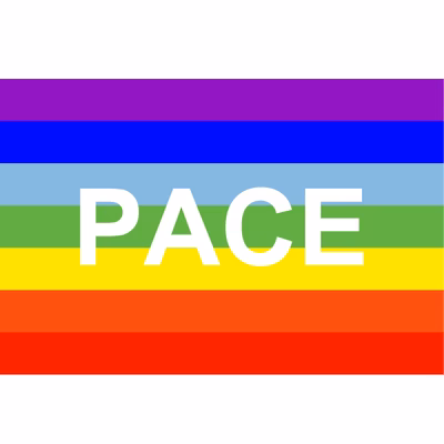 Immagine di Bandiera PACE cm 150x100 poliestere nautico