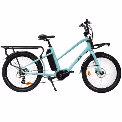 Immagine di Ebike 36v 13ah cargo mid motor c2
