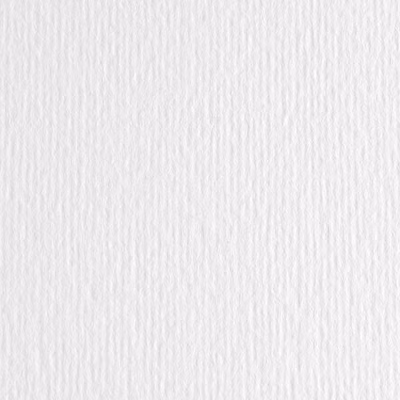 Immagine di Cartoncino liscio ruvido FABRIANO ElleErre cm 50x70 g220 bianco risma da 20 fogli