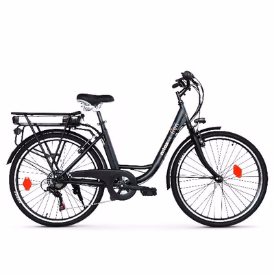 Immagine di Ebike 36v 8ah 26x1.75p - iren