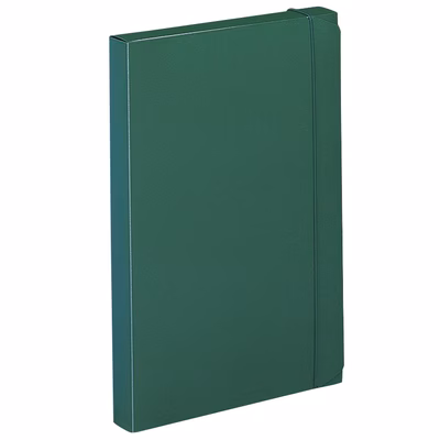 Immagine di Portaprogetti LEONARDI PROGETTO dorso 3 cm colore verde