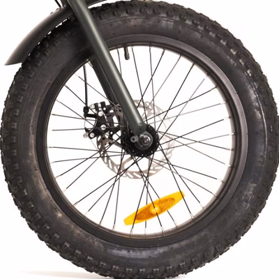 Immagine di Pneumatico ant/post ebike x8/x8plus