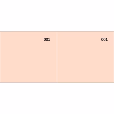 Immagine di Blocco scontrini 2 sezioni numerato rosso